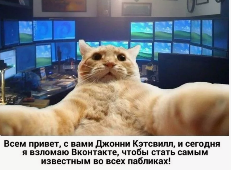 Один из мемов про кота Джонни